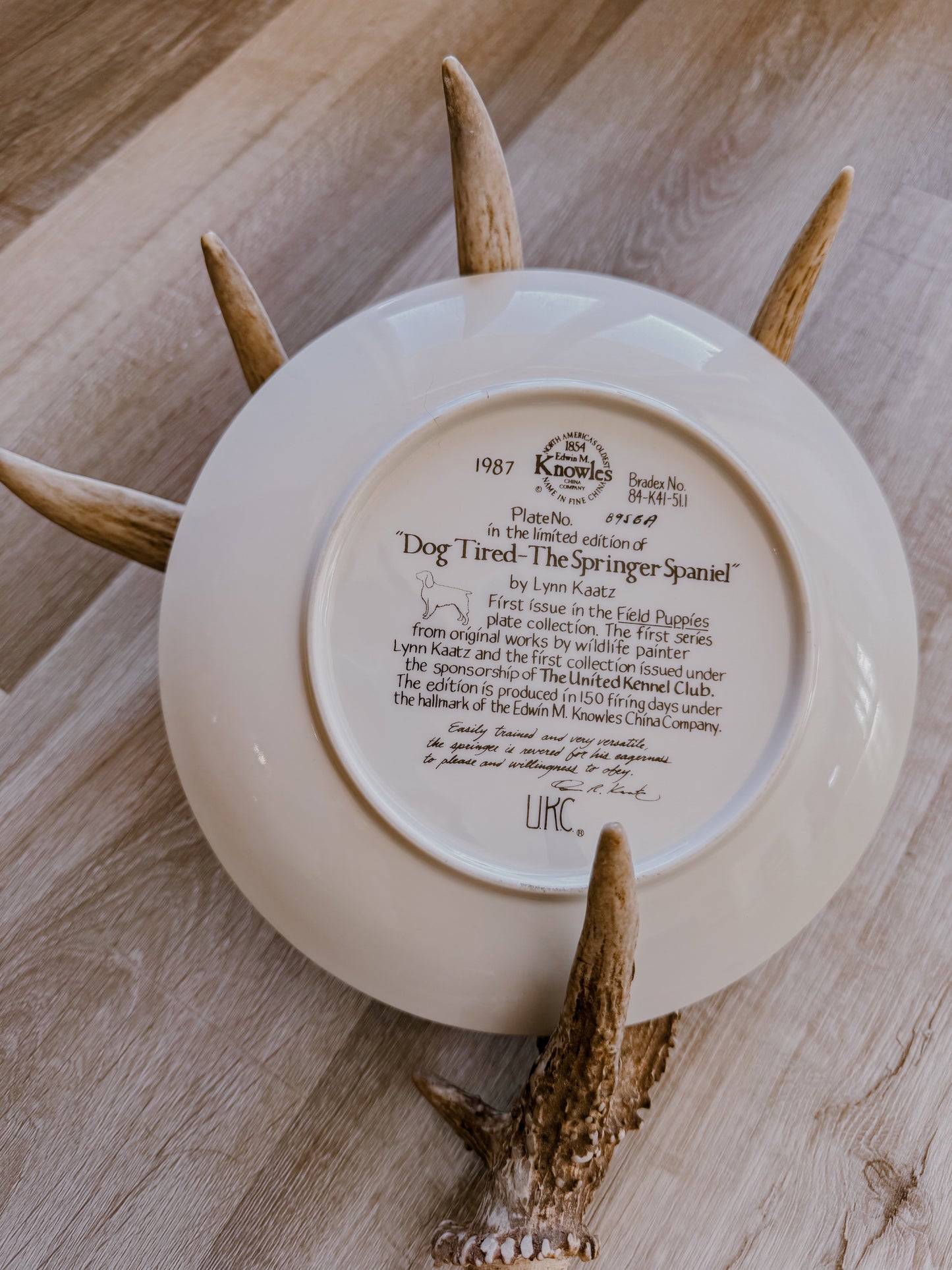 Limited Edition Wildlife Plate Set