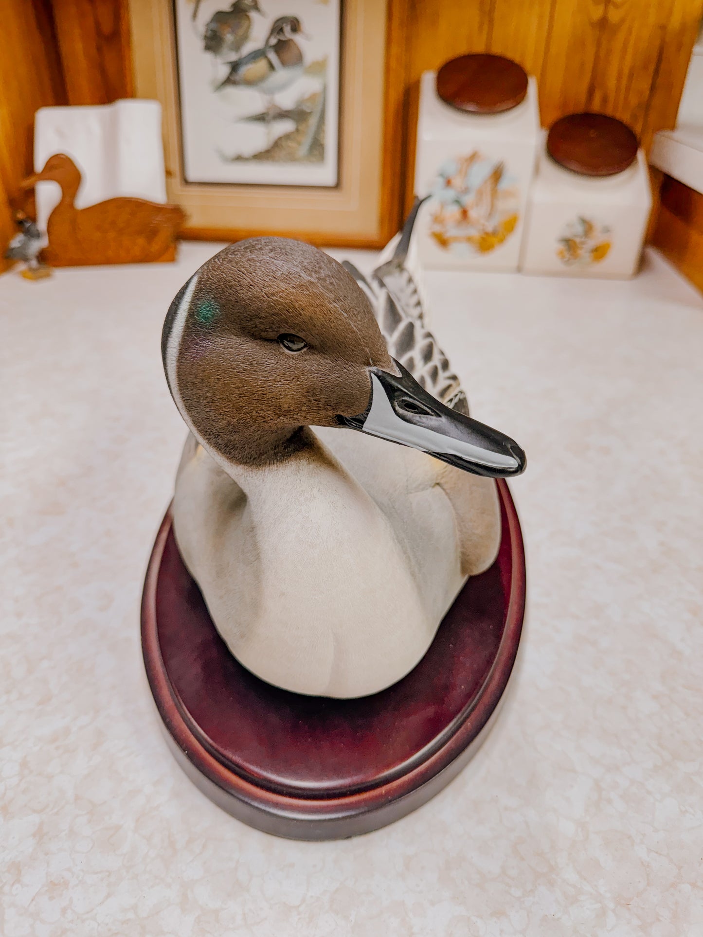 Drake Pintail Decorative Collector Decoy