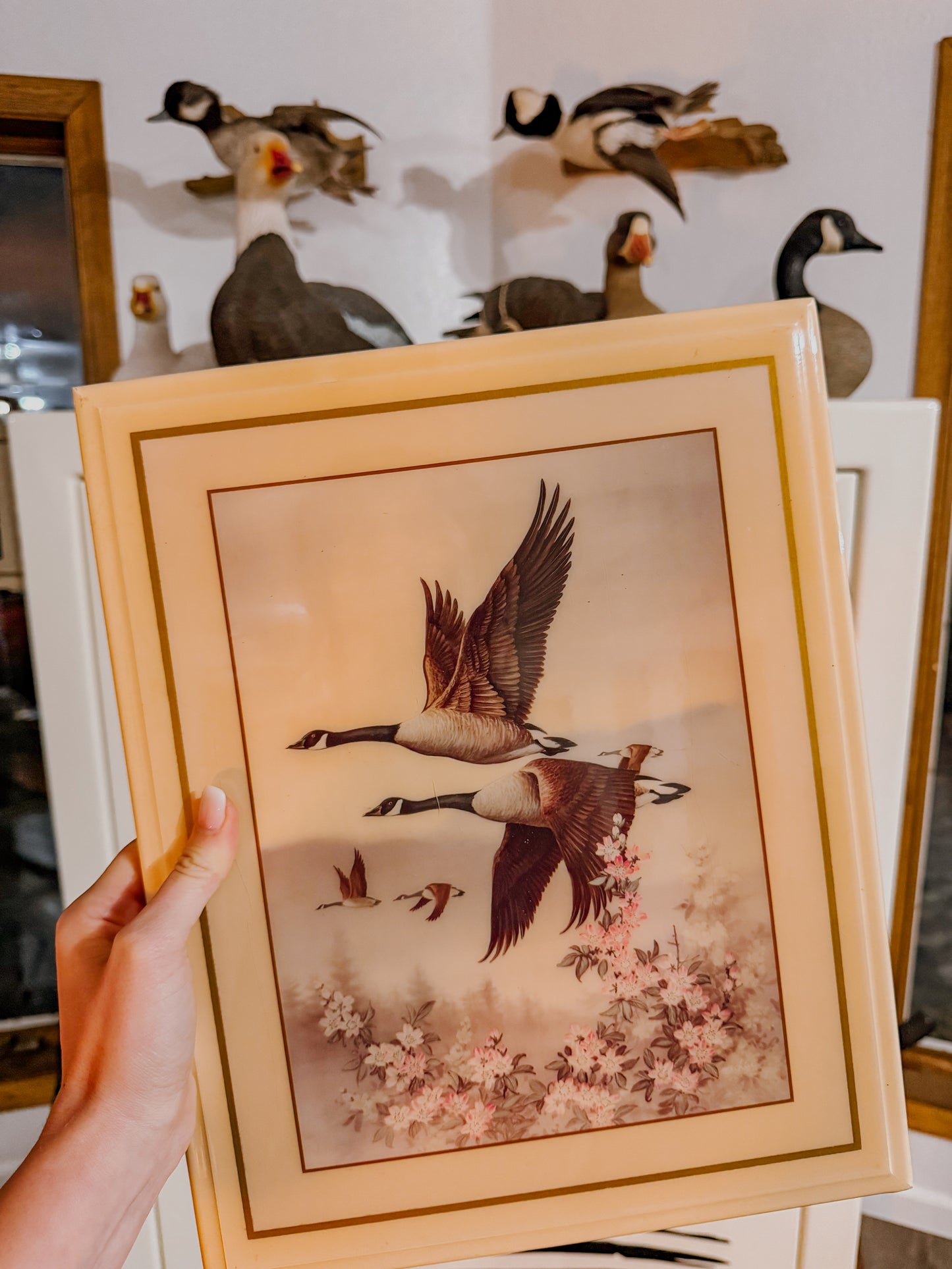 Canada Goose Acrylic Art