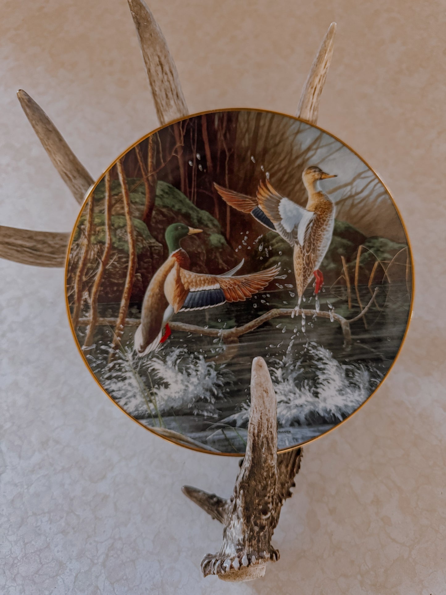 Rising Mallard Decorative Collector Plate