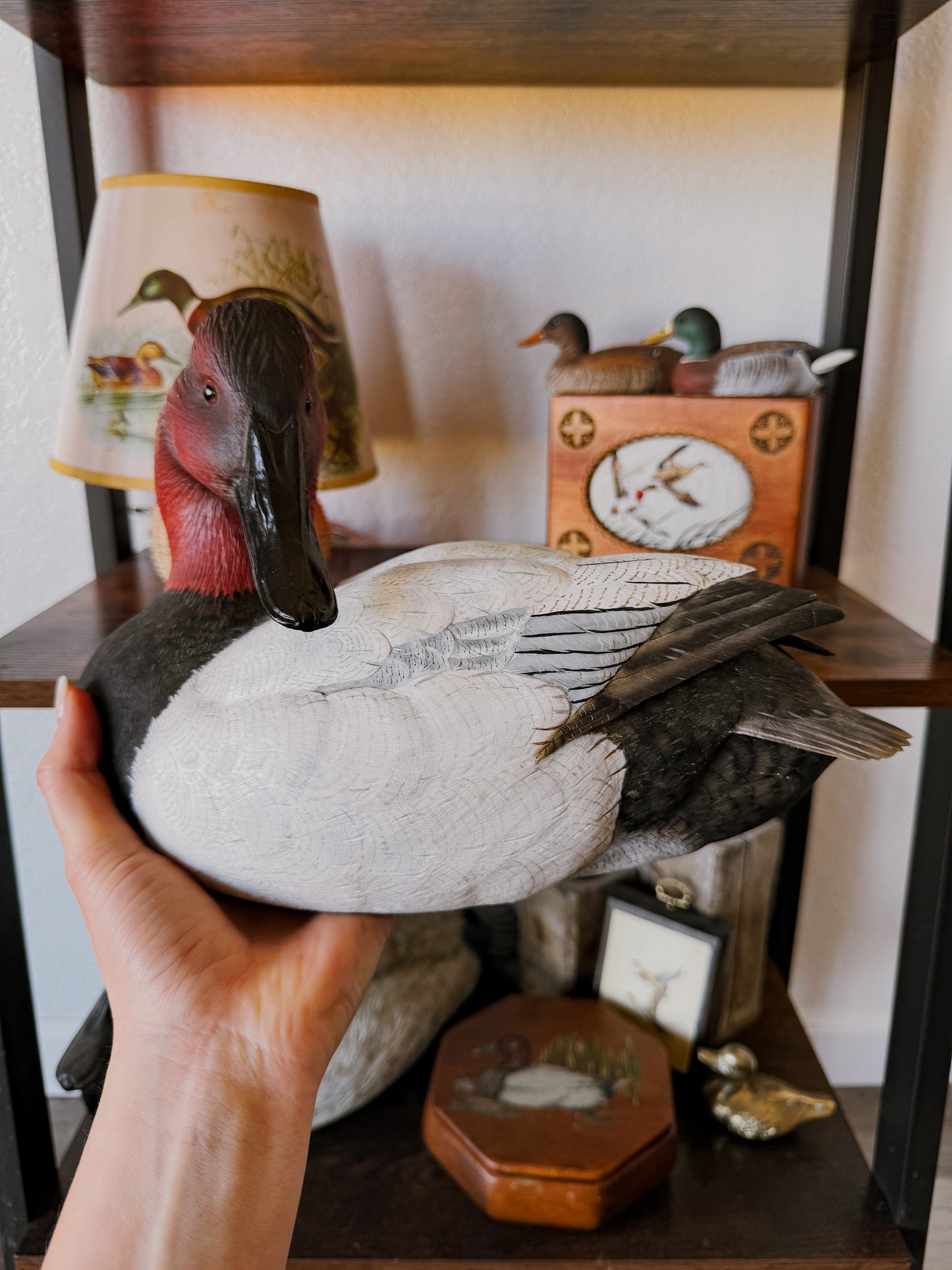 Collectors Drake Canvasback Decoy
