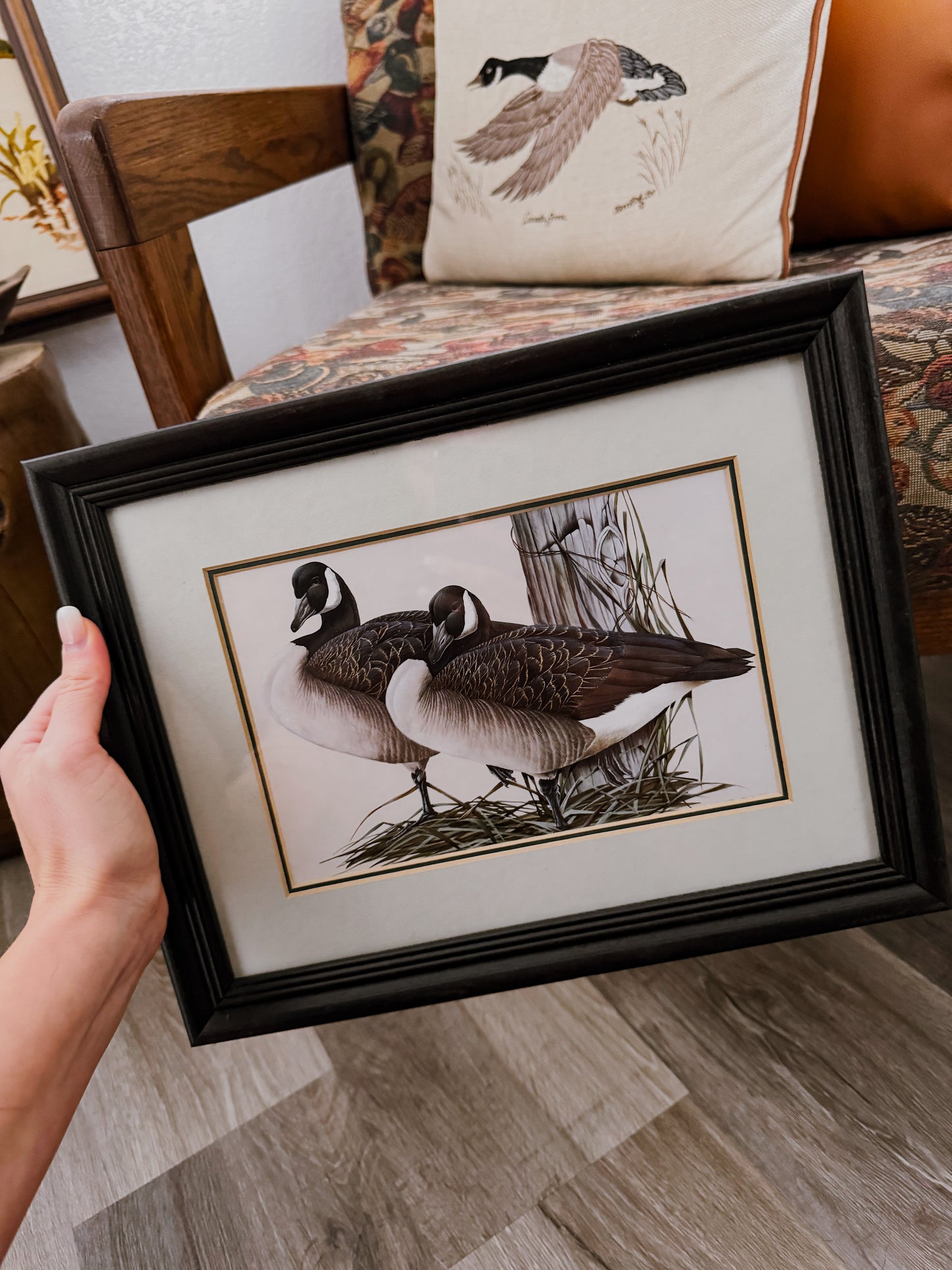 Canada Goose Pair Print