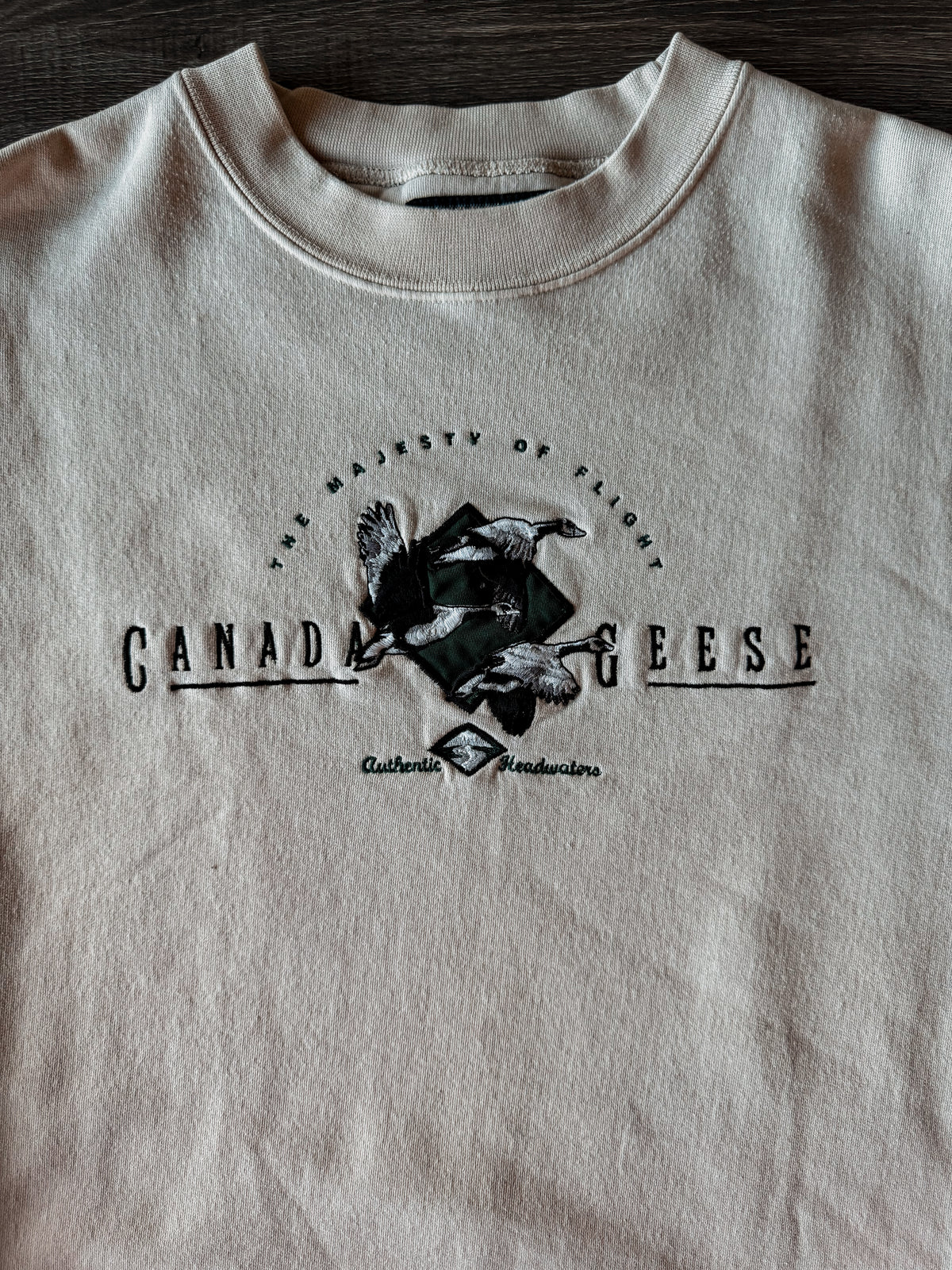 The Majesty of Canada Geese [Fit: Large]