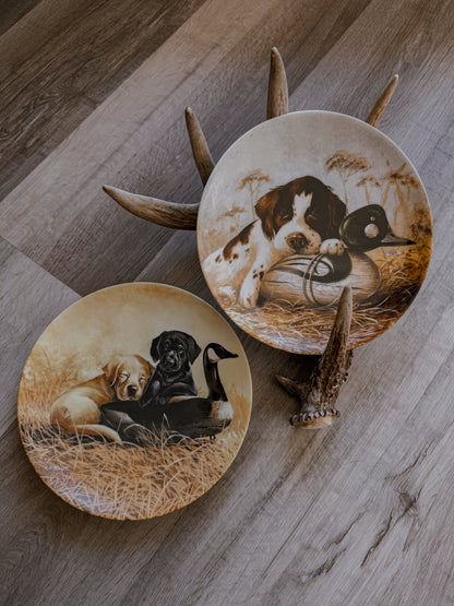 Limited Edition Wildlife Plate Set