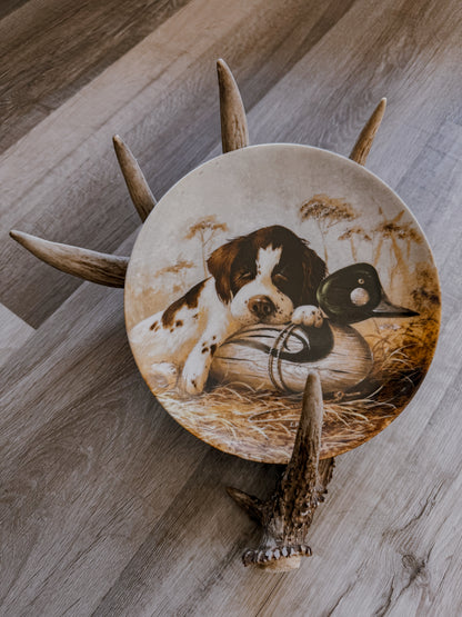 Limited Edition Wildlife Plate Set
