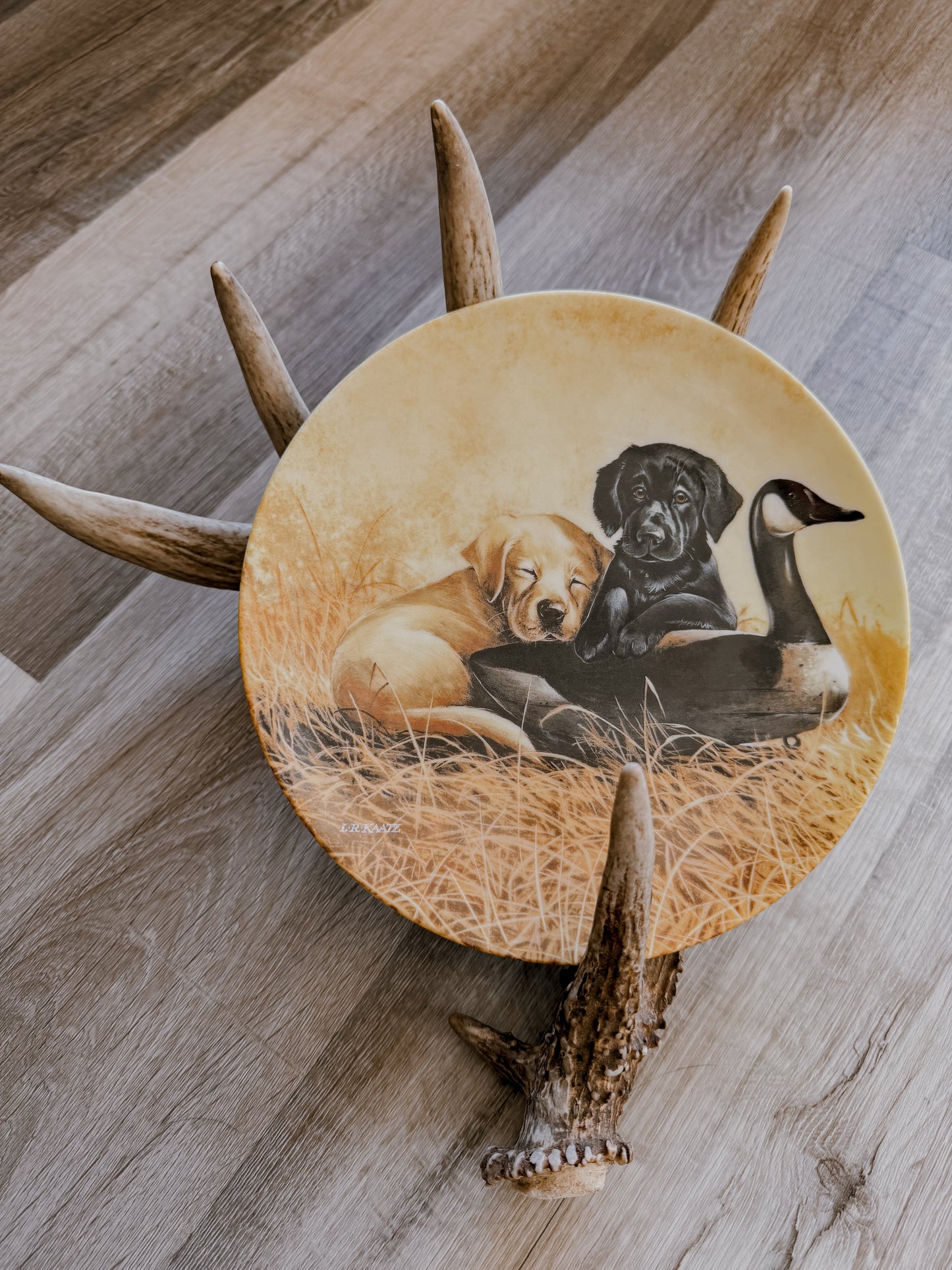 Limited Edition Wildlife Plate Set
