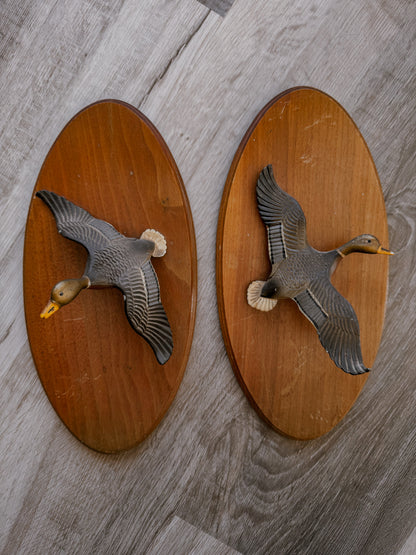 Vintage Flying Duck Wall Plaques Set