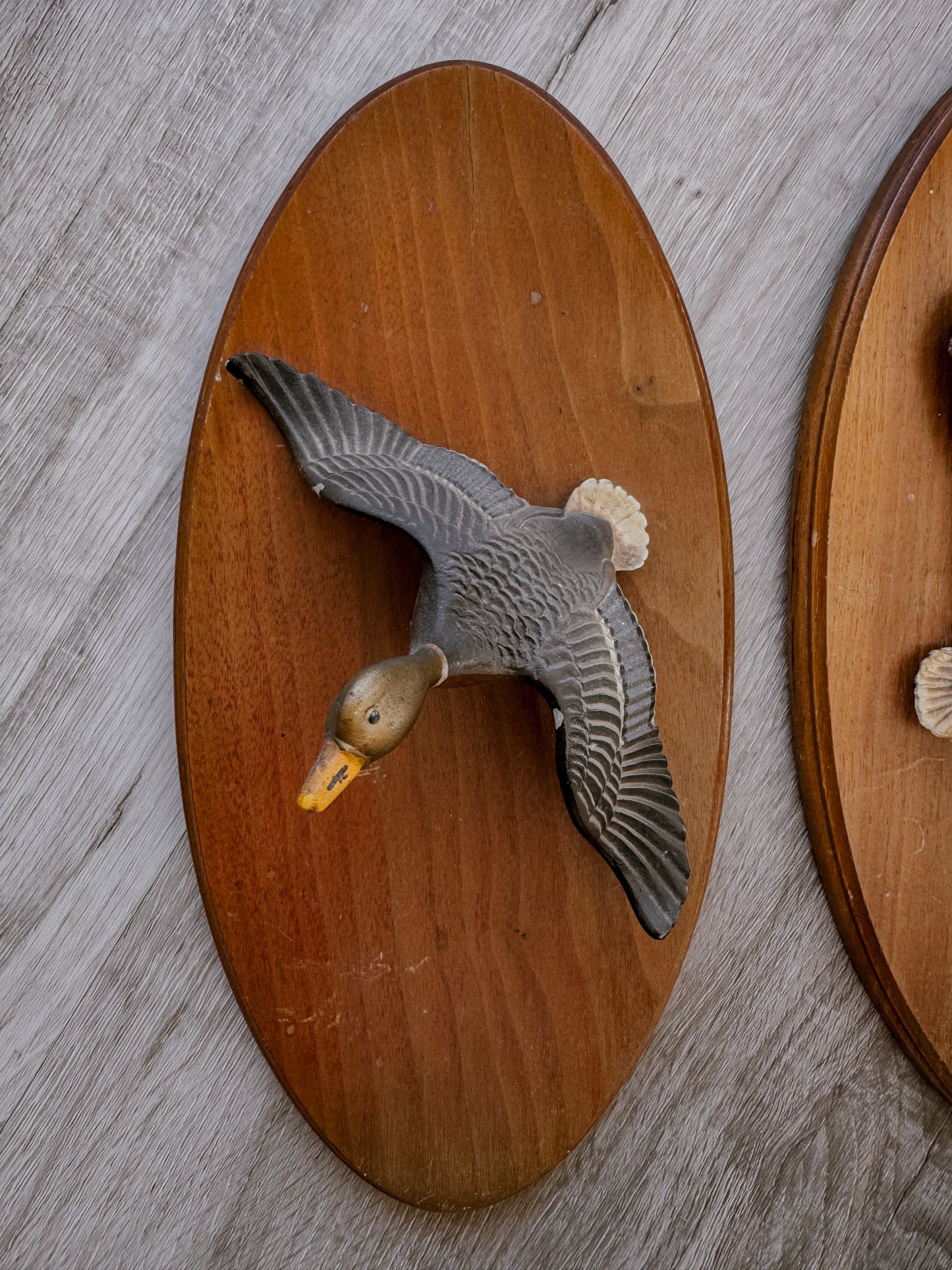 Vintage Flying Duck Wall Plaques Set