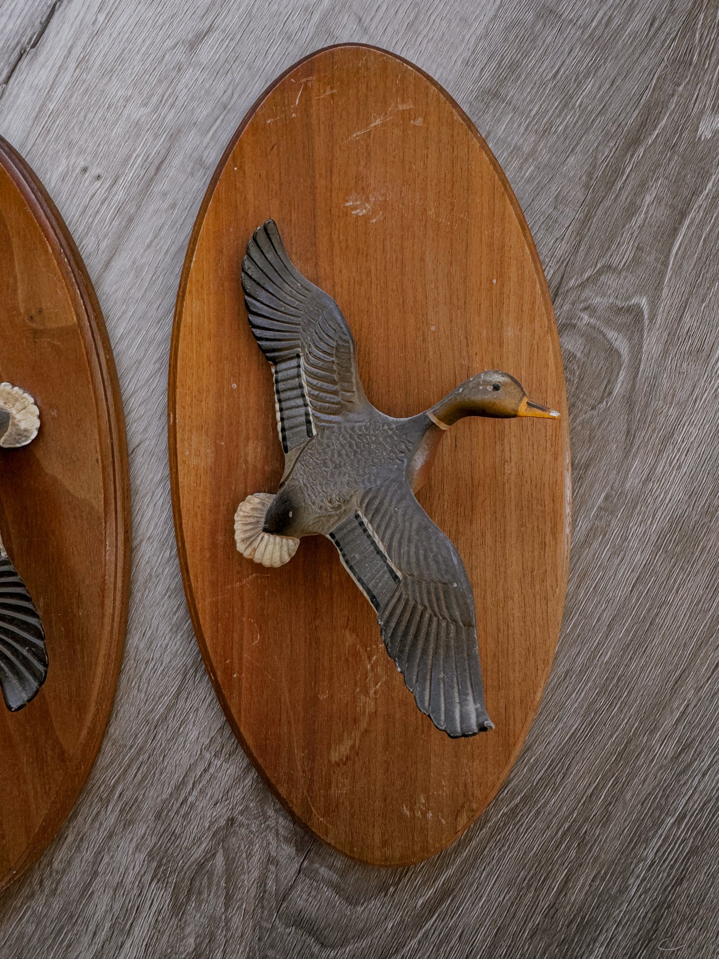Vintage Flying Duck Wall Plaques Set