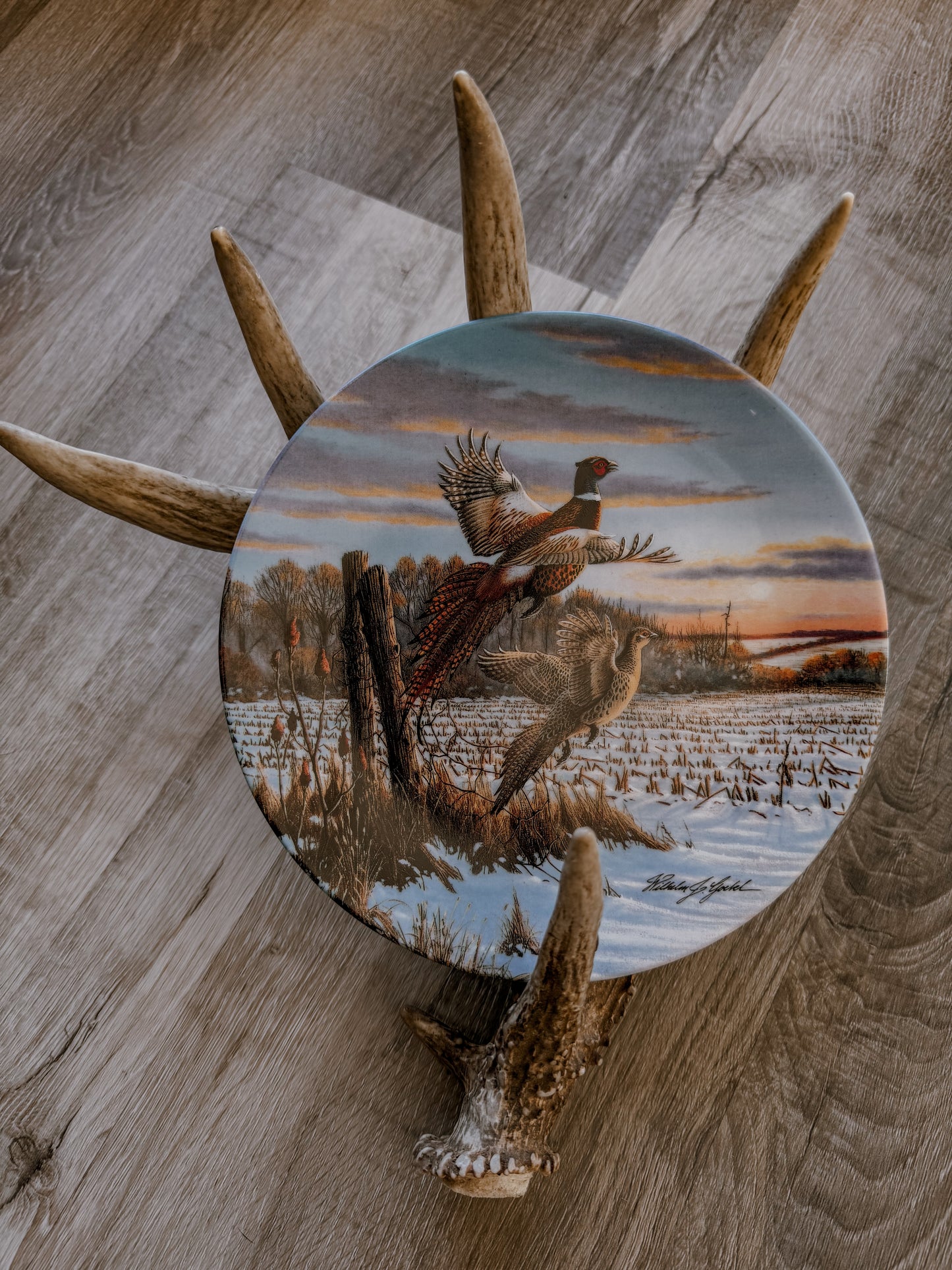 Vintage Pheasant Art Bundle