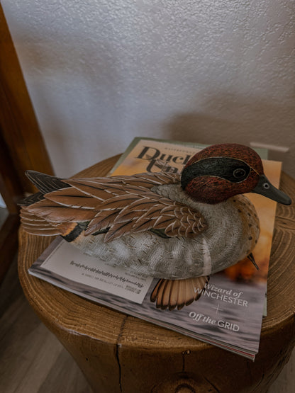 Green Wing Teal Duck Decor