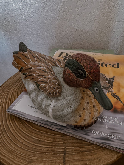 Green Wing Teal Duck Decor