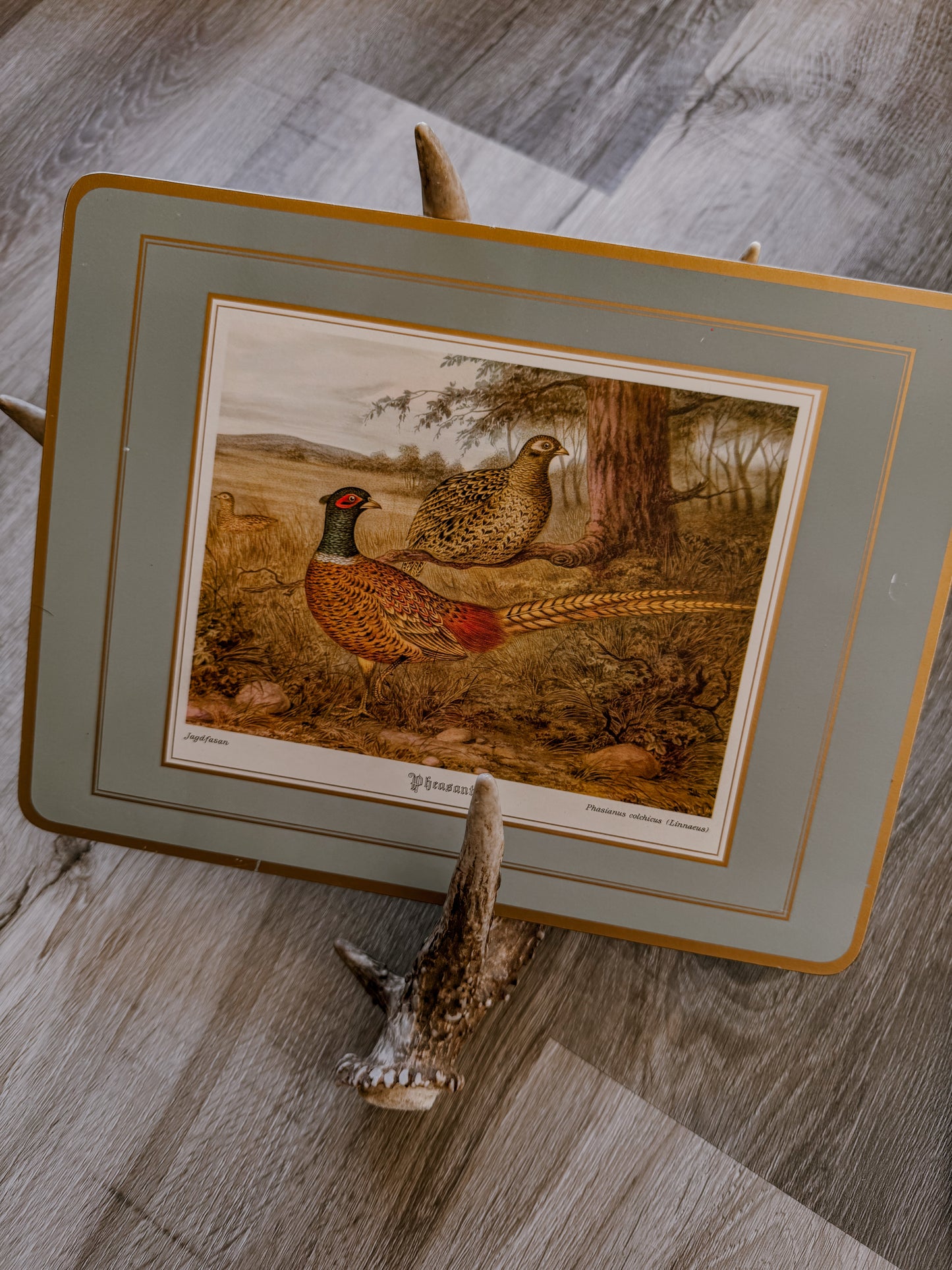 Vintage Pheasant Decor Bundle