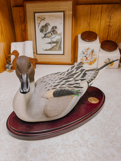 Drake Pintail Decorative Collector Decoy