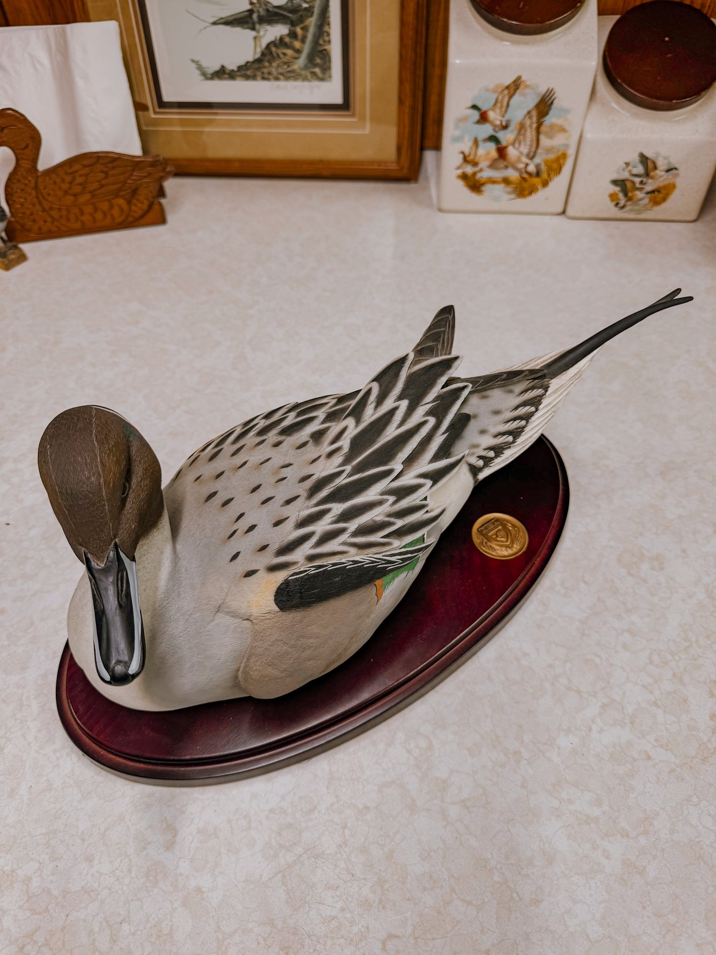 Drake Pintail Decorative Collector Decoy