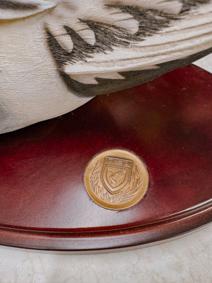 Drake Pintail Decorative Collector Decoy