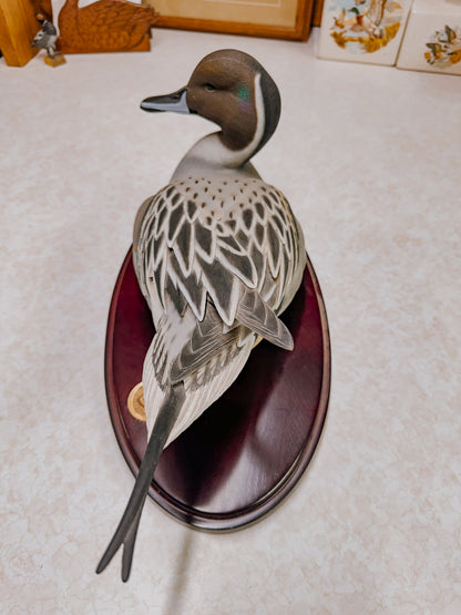 Drake Pintail Decorative Collector Decoy