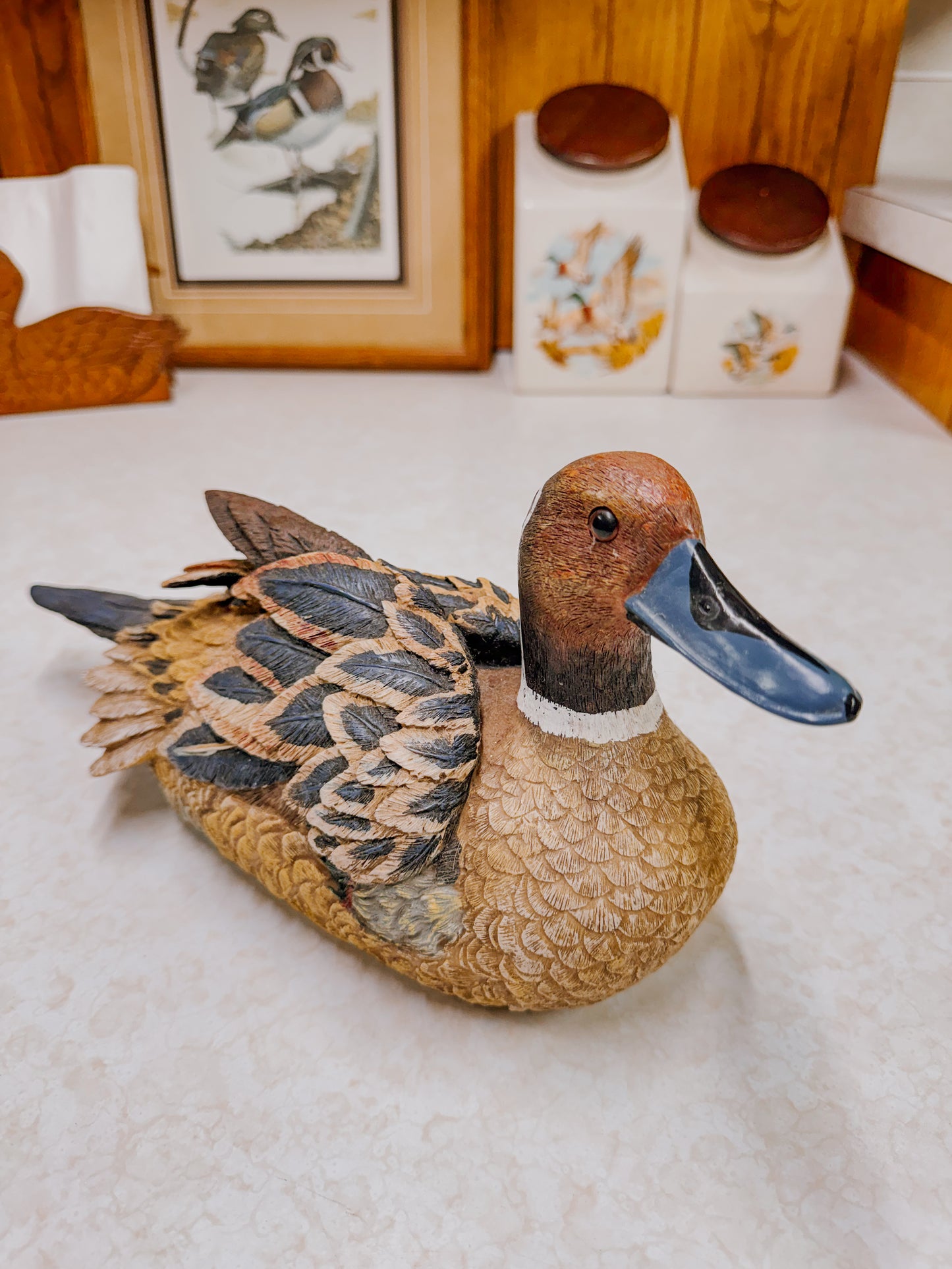 Vintage Drake Pintail Decorative Decoy