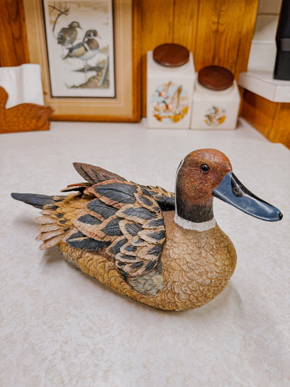 Vintage Drake Pintail Decorative Decoy