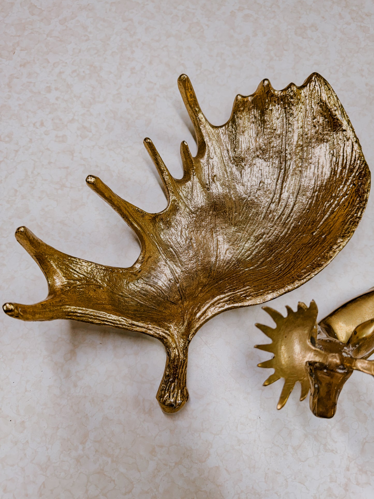 Vintage Brass Moose and Antler Decor Bundle