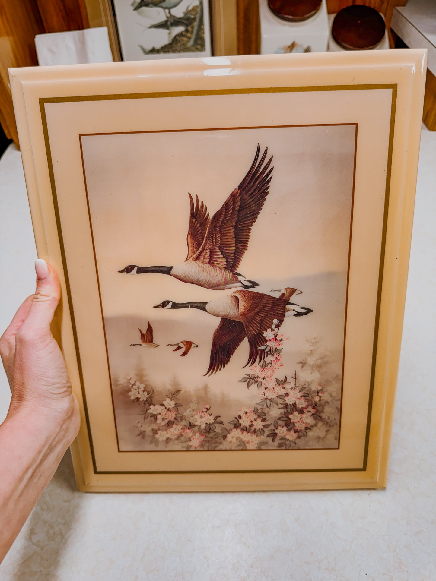 Canada Goose Acrylic Art