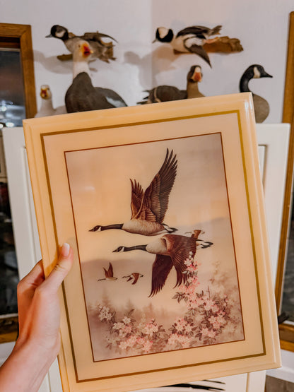 Canada Goose Acrylic Art