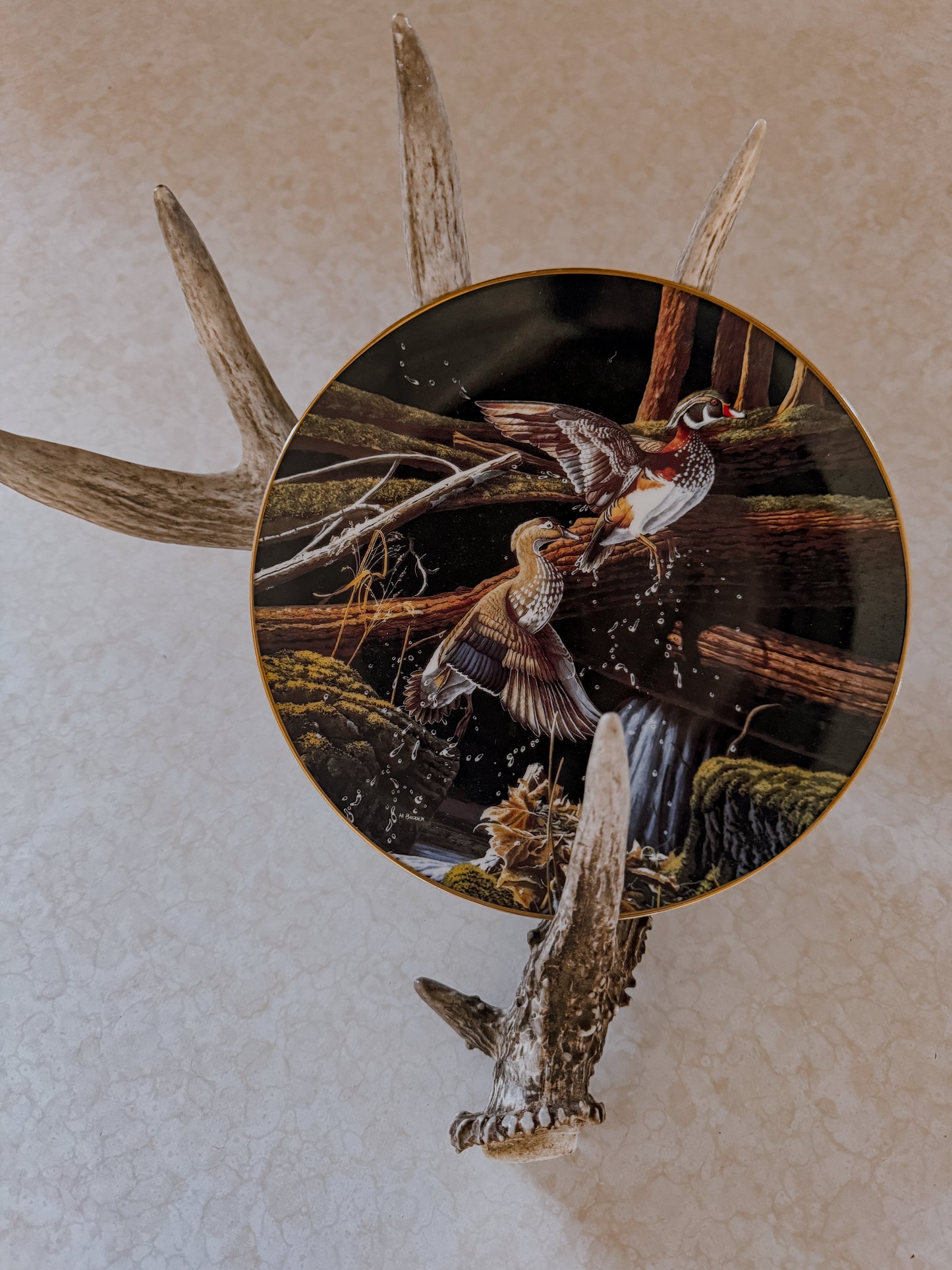 Skyward Decorative Collector Plate