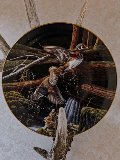 Skyward Decorative Collector Plate