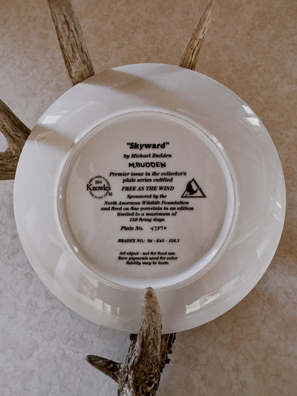 Skyward Decorative Collector Plate