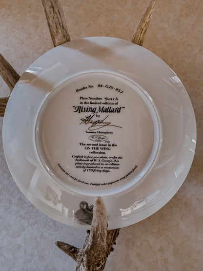Rising Mallard Decorative Collector Plate