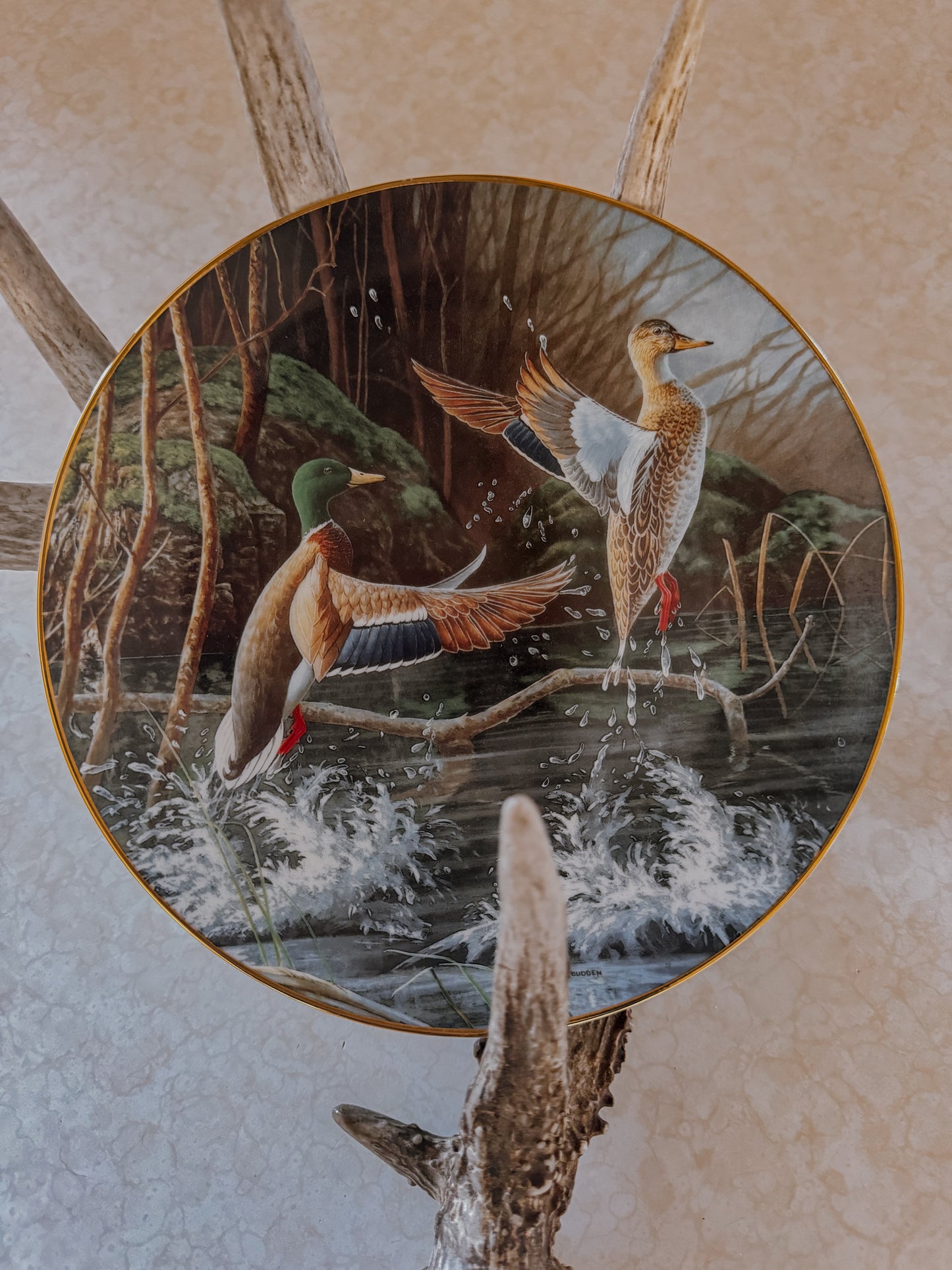 Rising Mallard Decorative Collector Plate