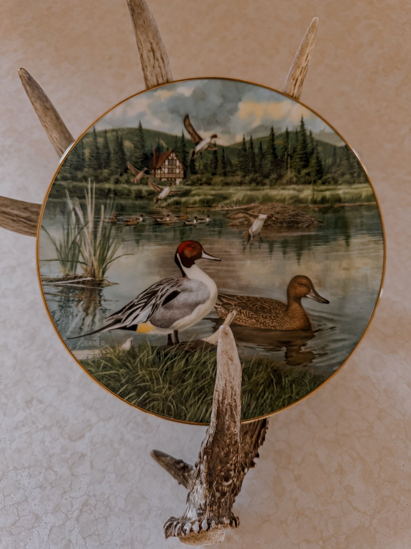 The Pintail Decorative Collector Plate