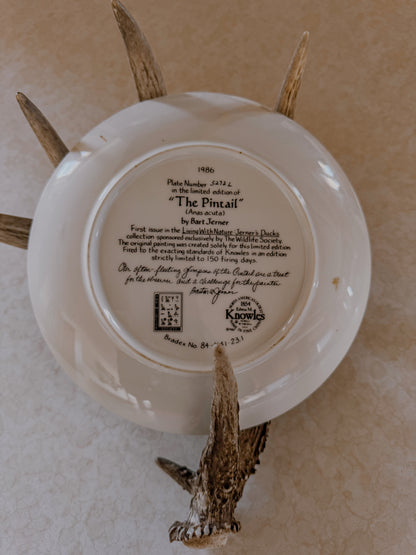 The Pintail Decorative Collector Plate