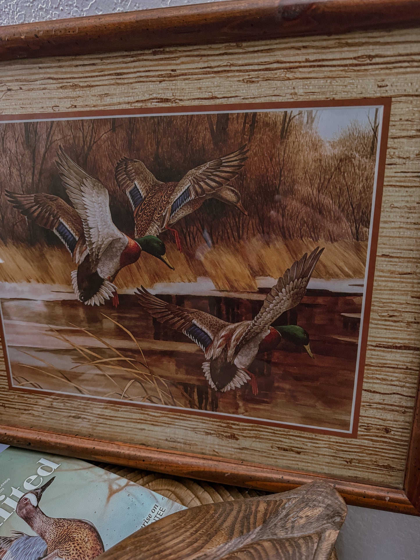 Mallards in Flight Framed Print