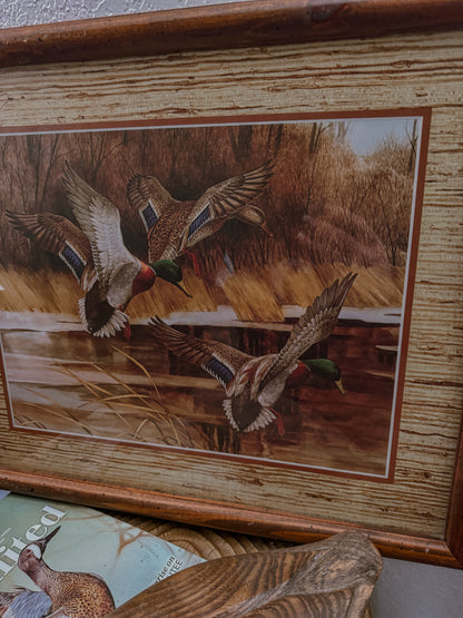 Mallards in Flight Framed Print