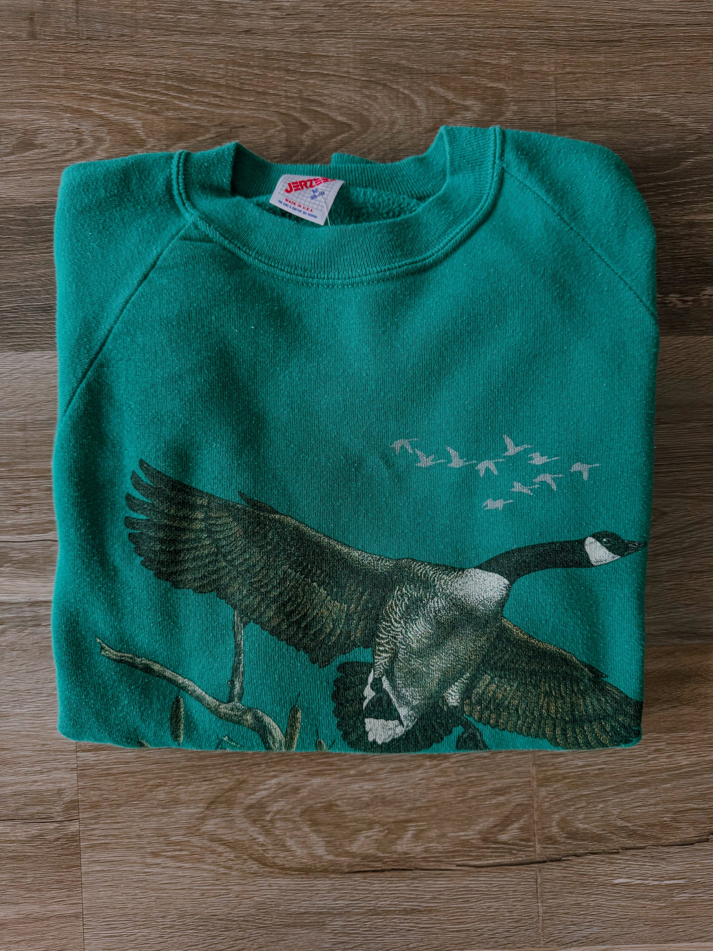 Canada Goose Coming In [Fit: Small]