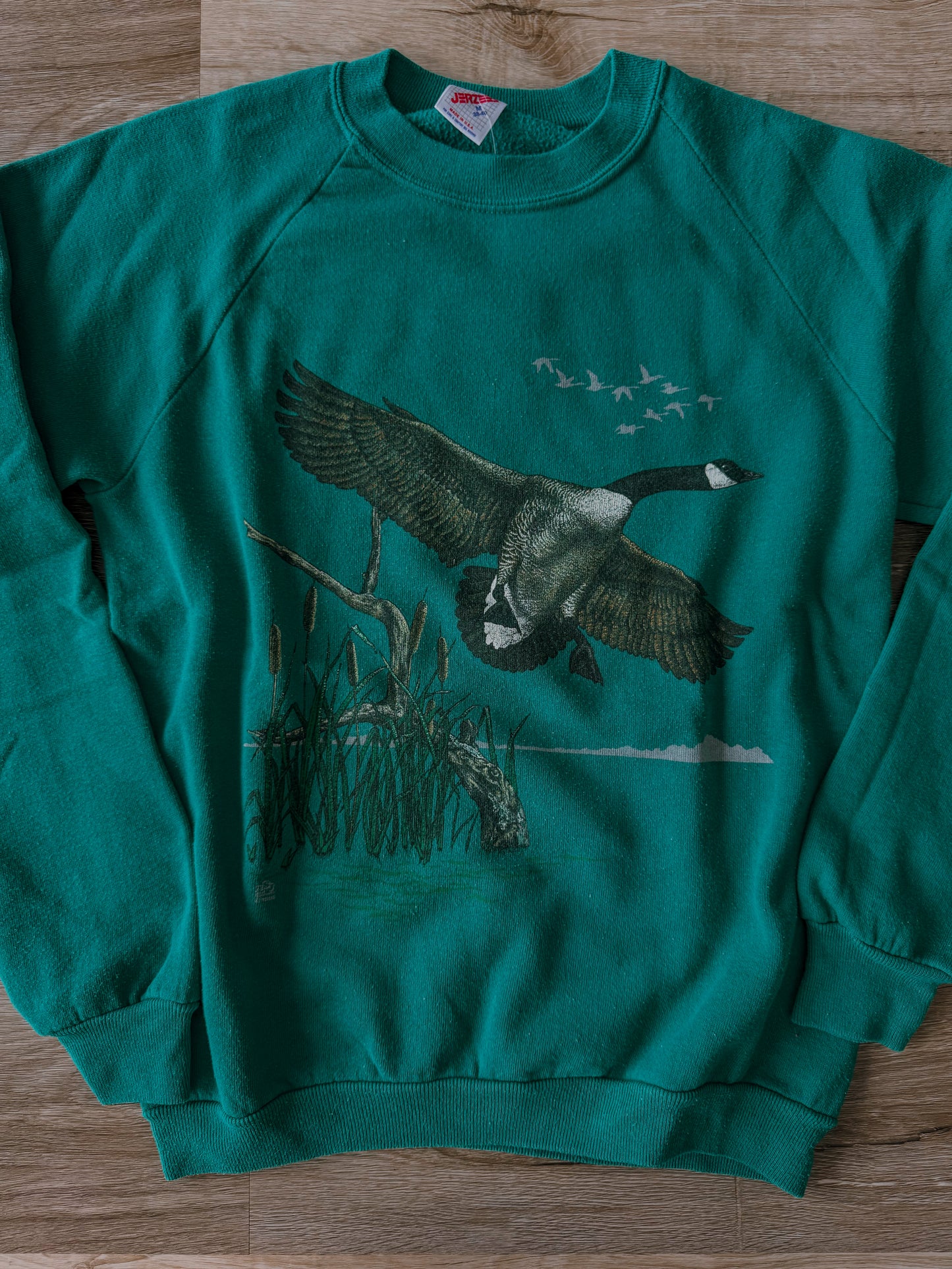 Canada Goose Coming In [Fit: Small]