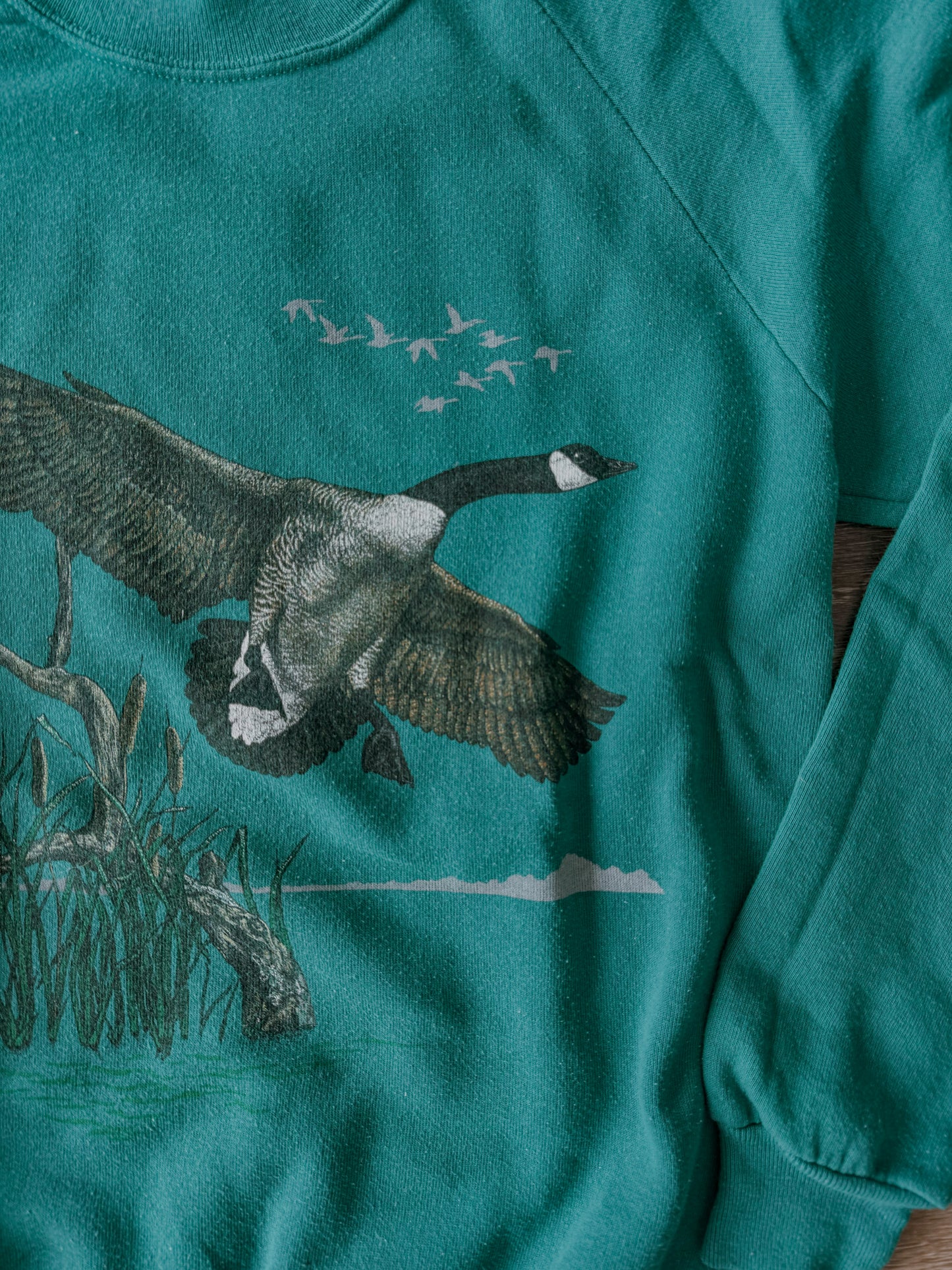 Canada Goose Coming In [Fit: Small]