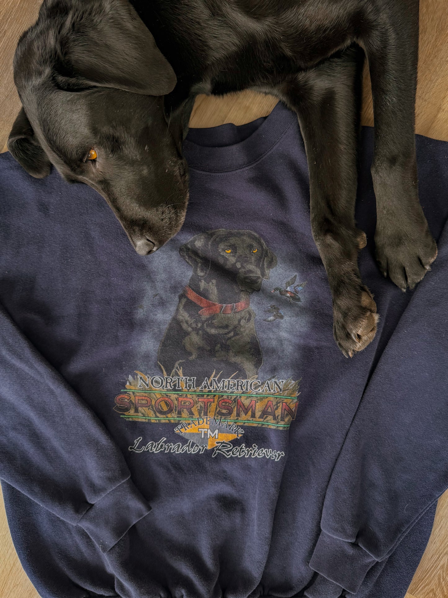 Pepper's Crew: Labrador Retreiver [Fit: Large]