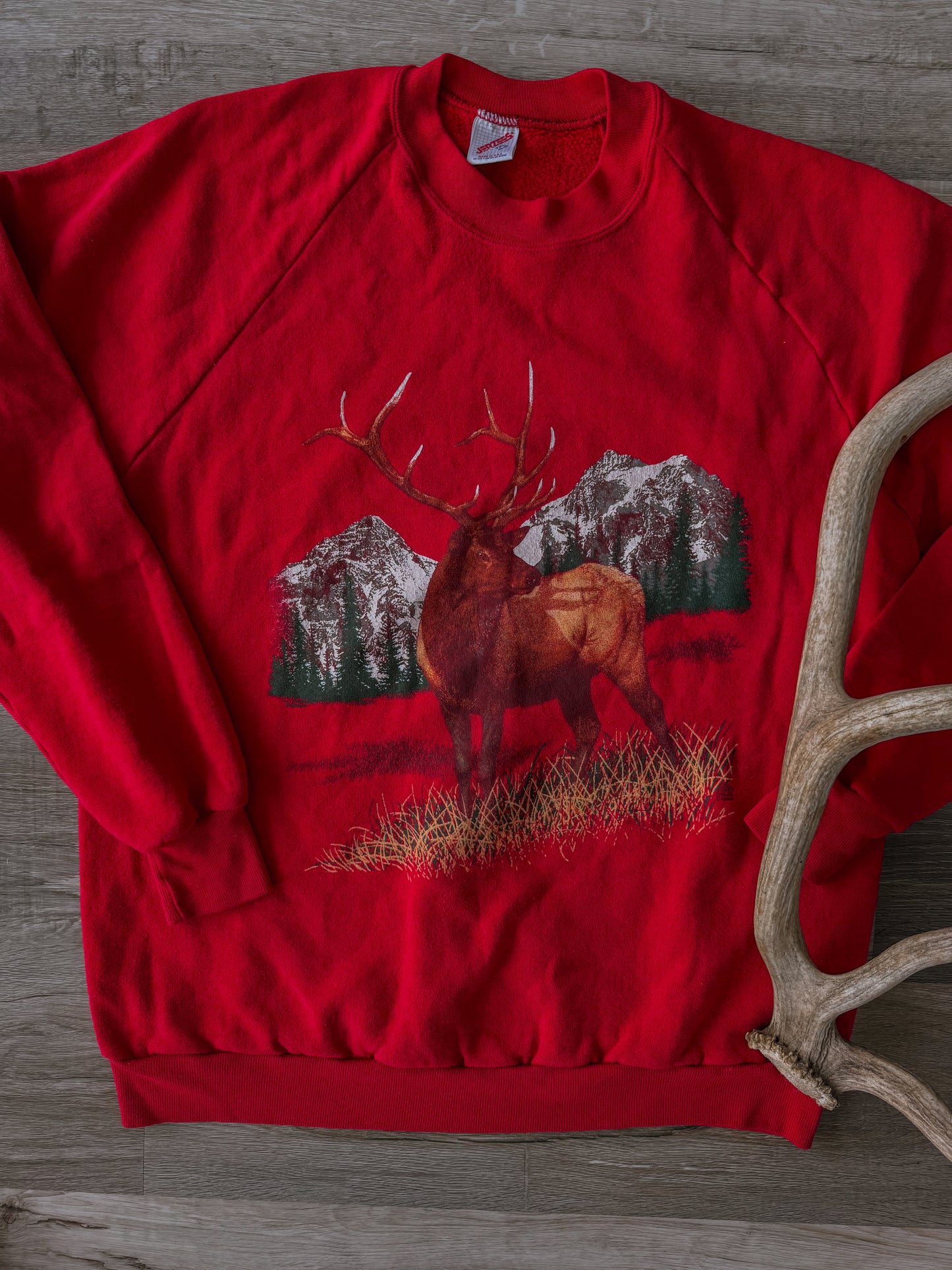 Royal Bull Elk [Fit: Medium]