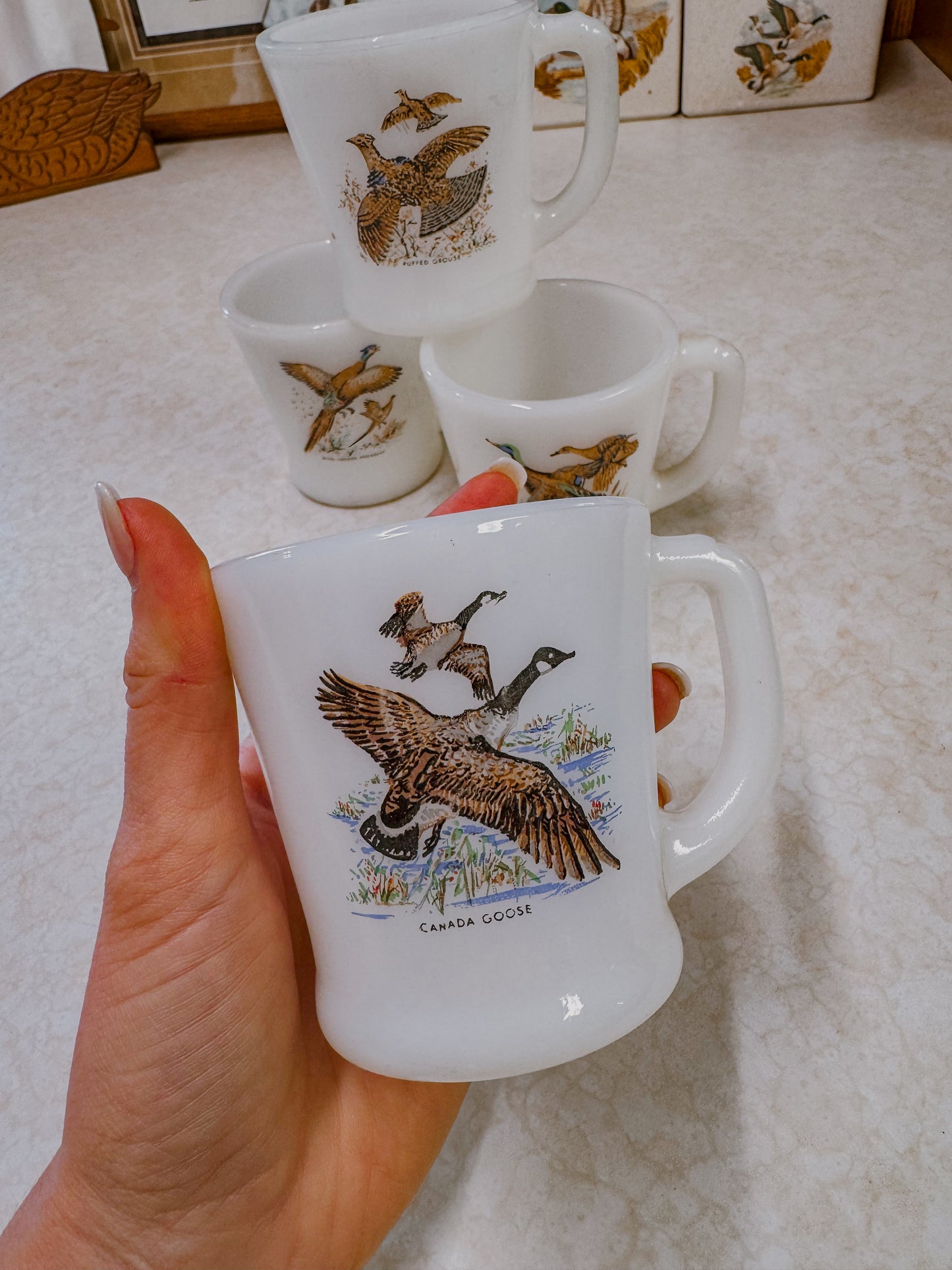 Vintage Game Bird Coffee Mugs Set of Four
