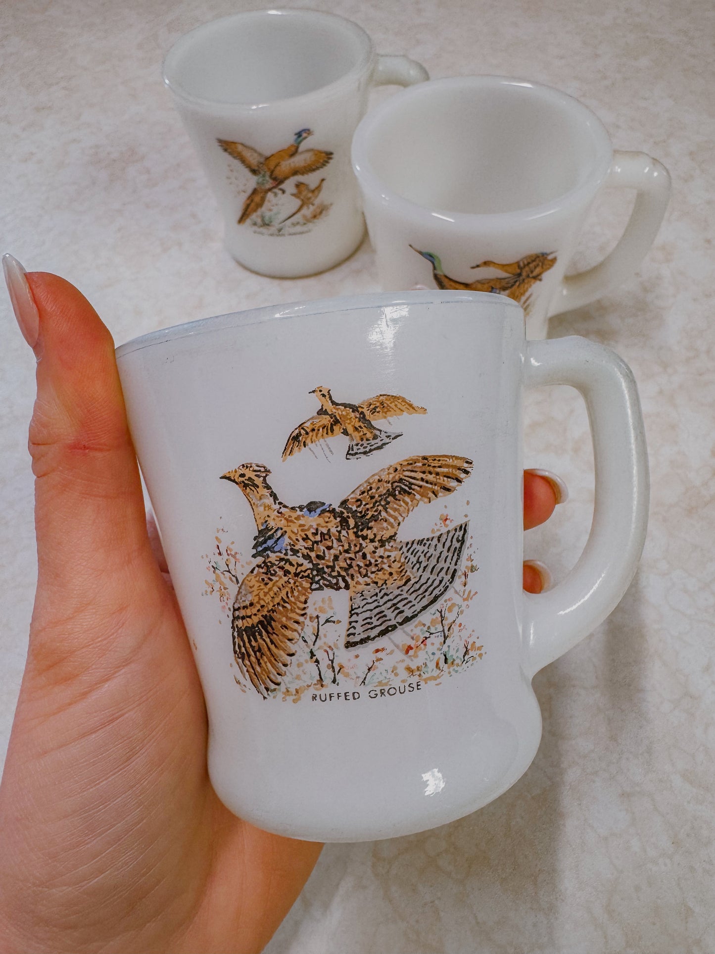 Vintage Game Bird Coffee Mugs Set of Four