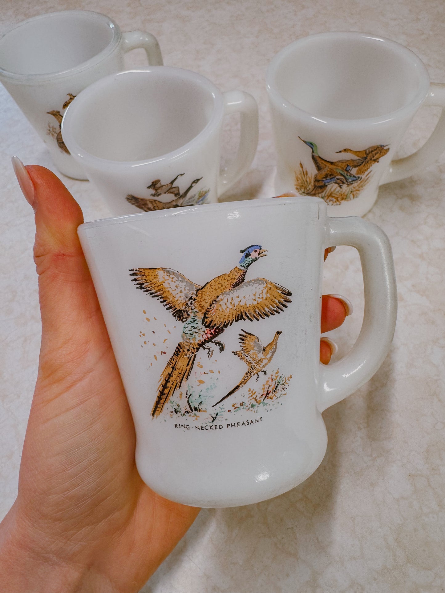 Vintage Game Bird Coffee Mugs Set of Four