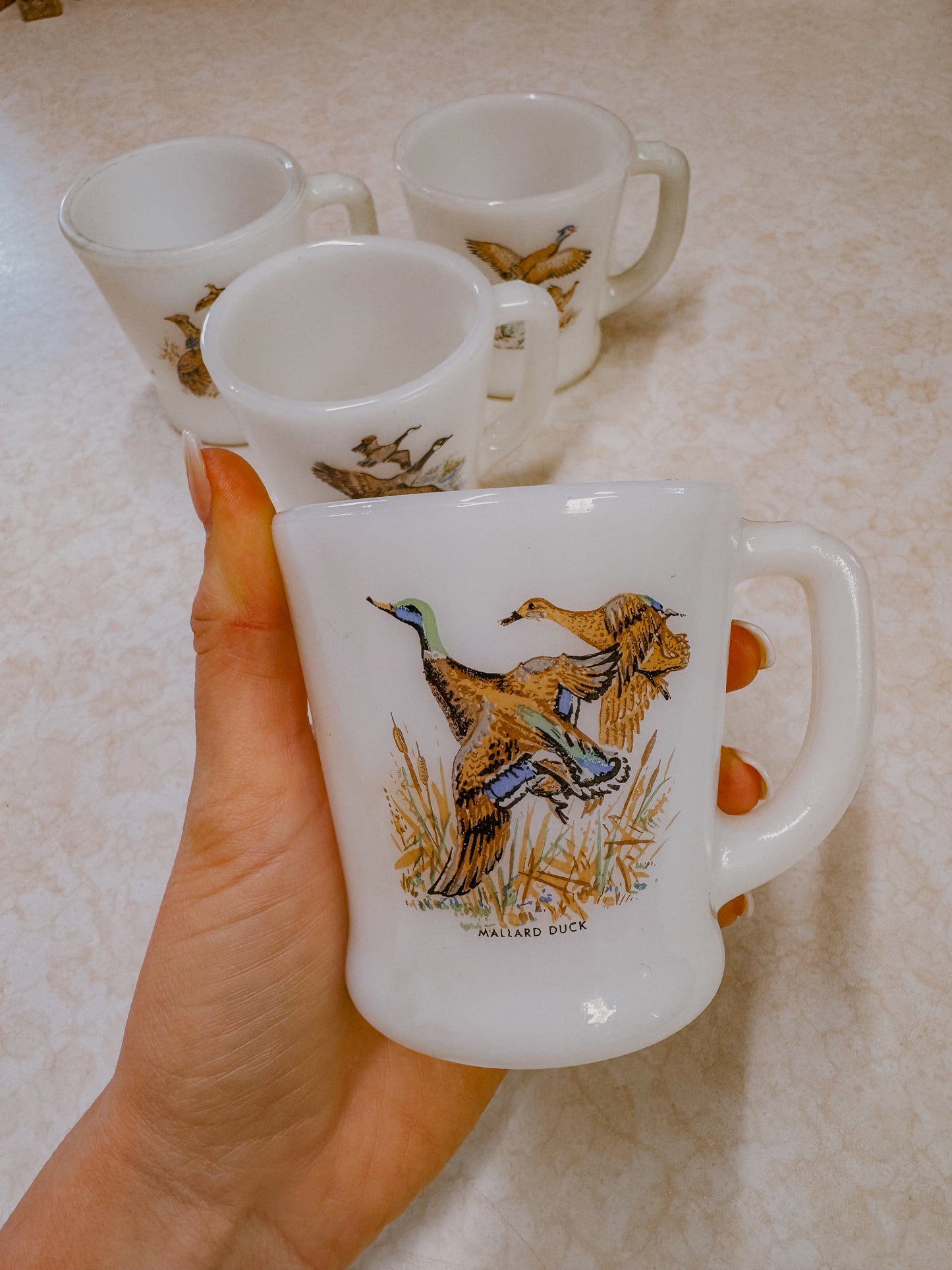 Vintage Game Bird Coffee Mugs Set of Four