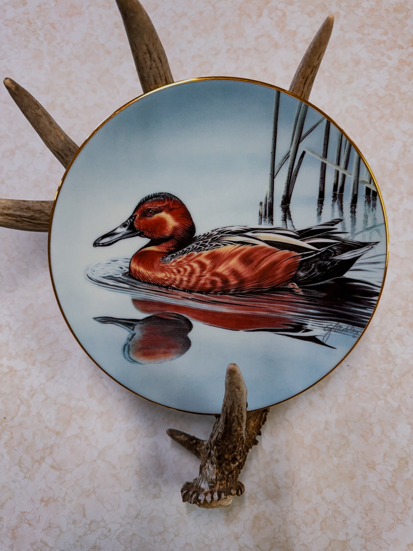 1991 Cinnamon Teal Federal Duck Stamp Collector Plate