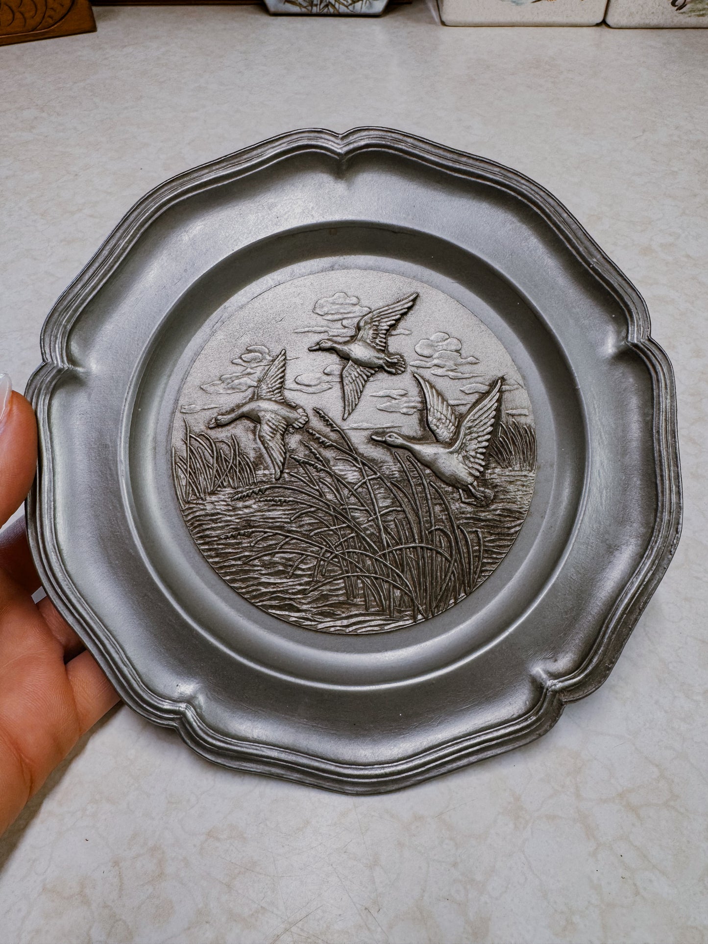 Vintage German Waterfowl Wall Plate