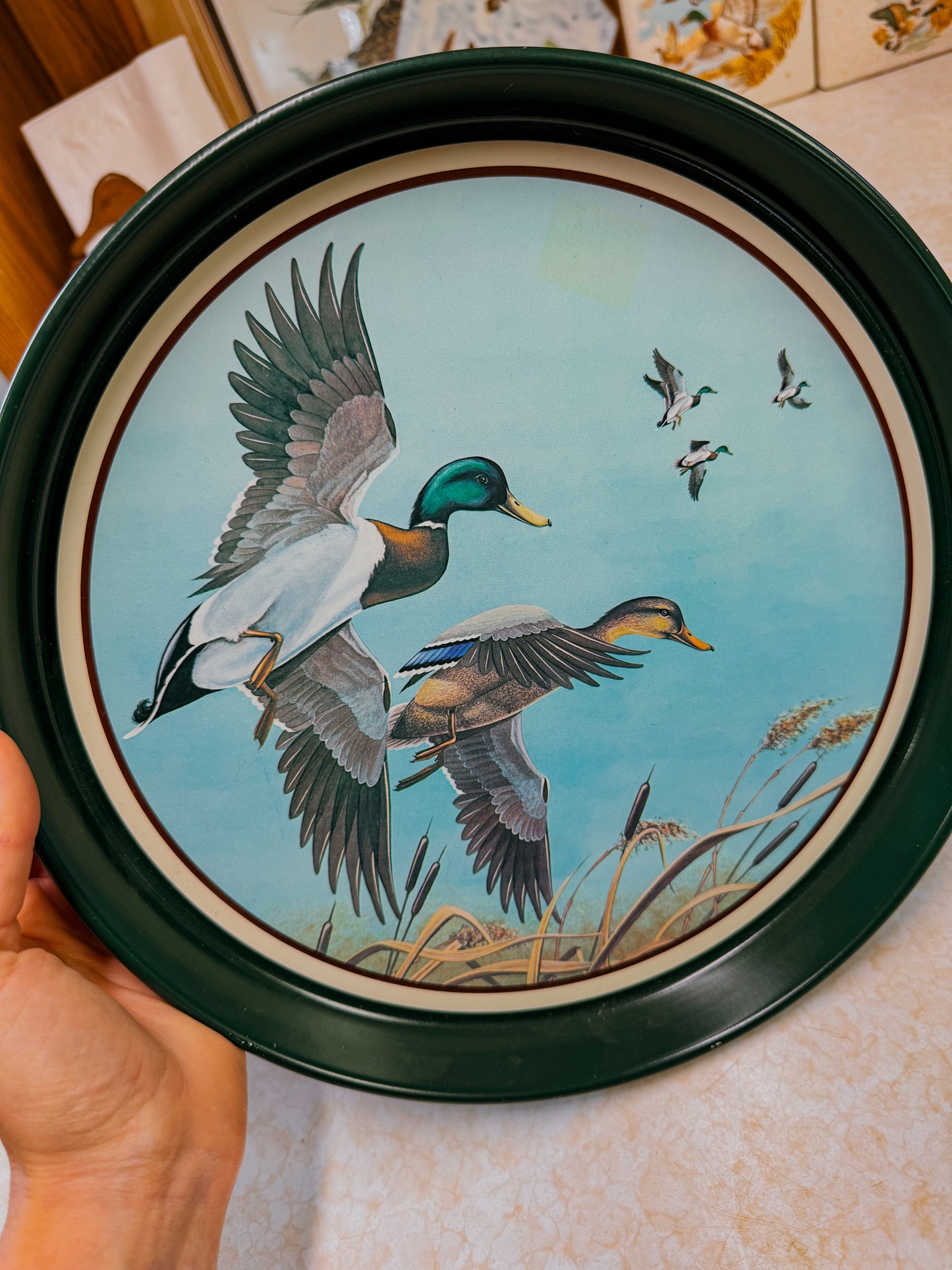 Vintage Mallard Barware Set with Serving Tray
