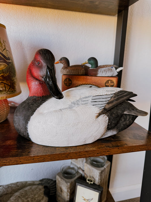 Collectors Drake Canvasback Decoy