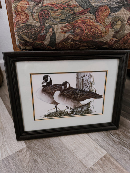 Canada Goose Pair Print