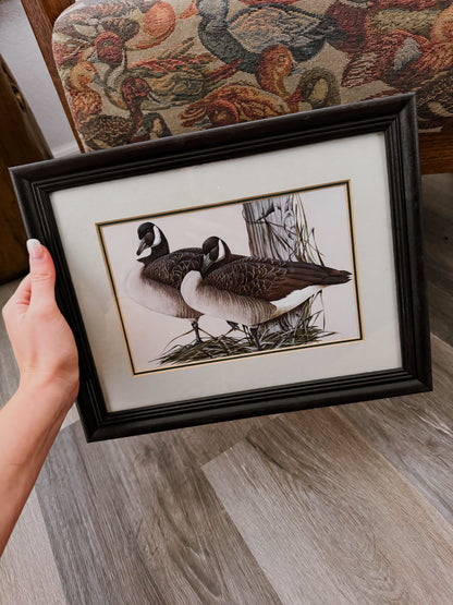 Canada Goose Pair Print